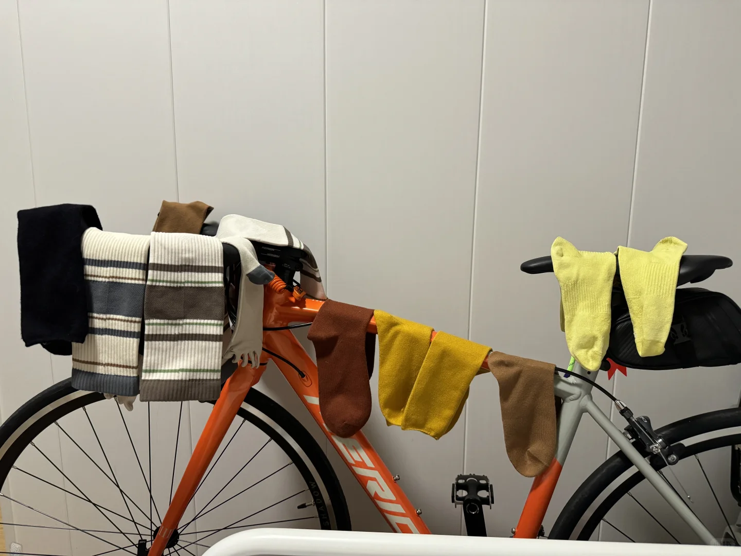 你家的公路车都扮演着哪些角色?？