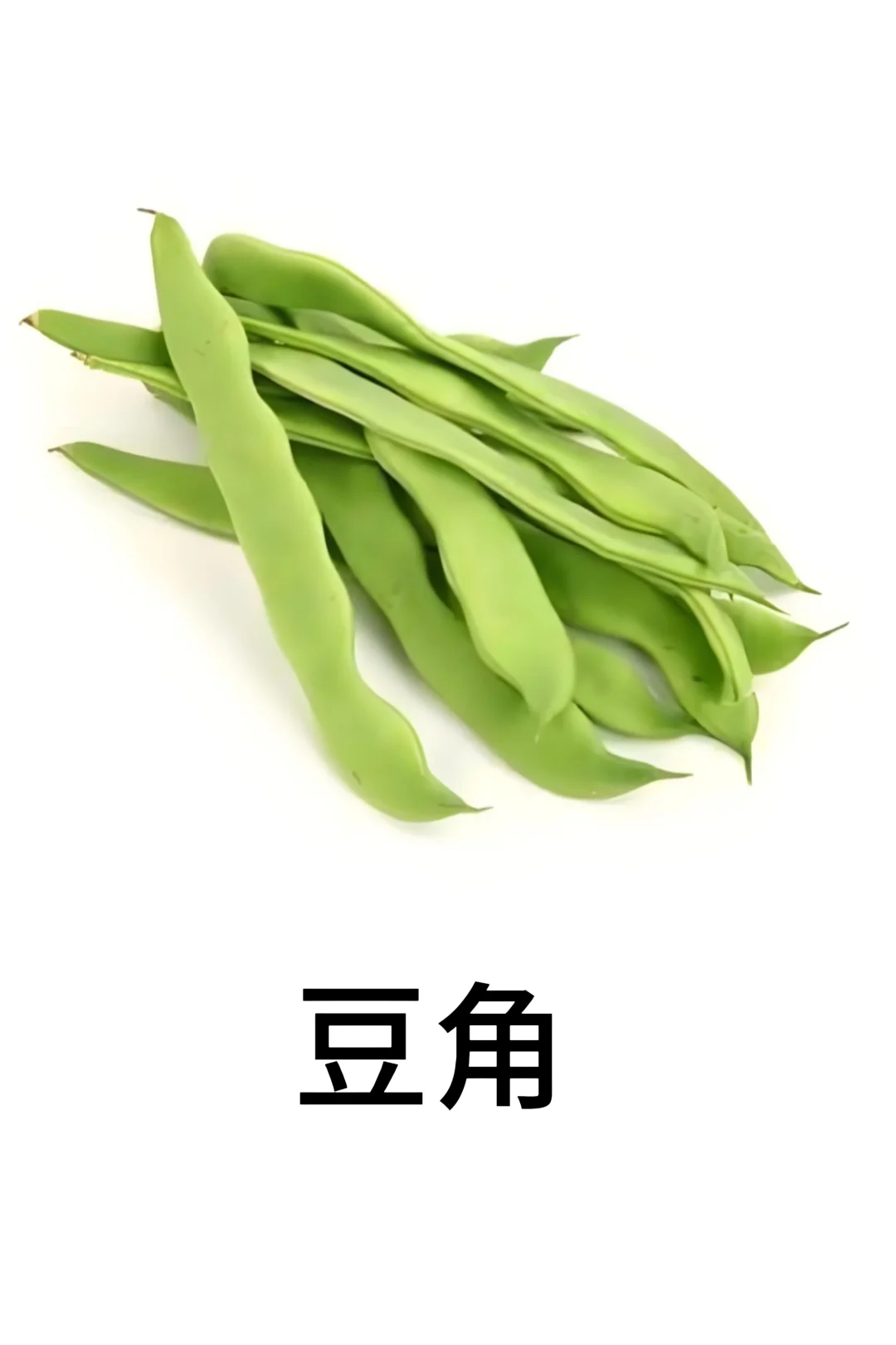 基础认知-蔬菜篇