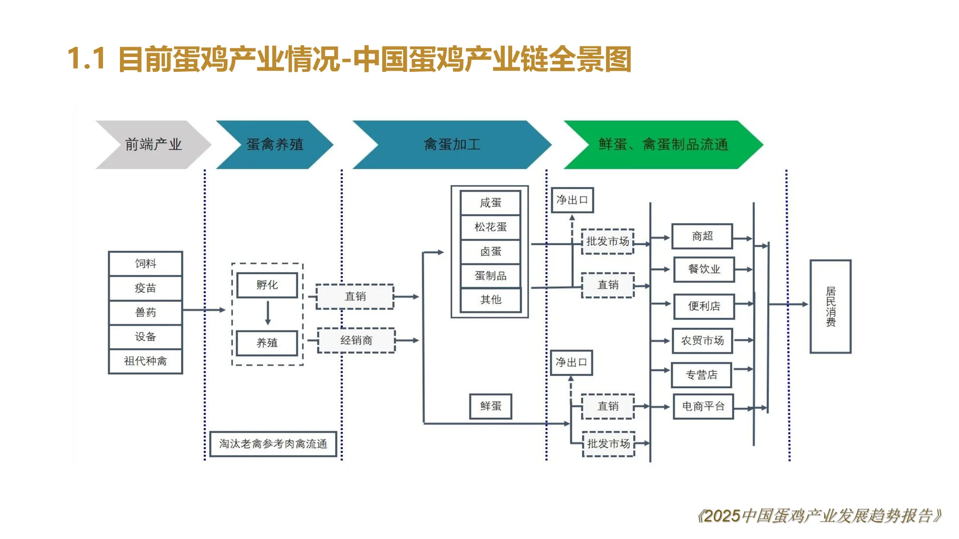 2025中国鸡蛋产业发展趋势报告