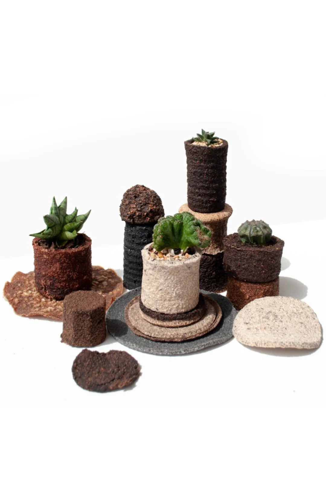 食物残渣的重生