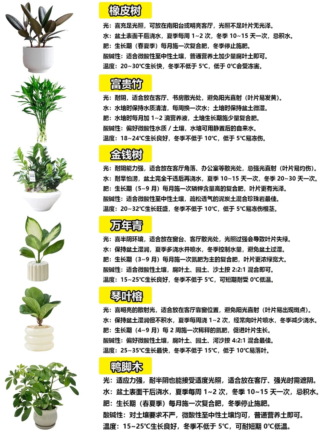 108种绿植花卉养护手册大全