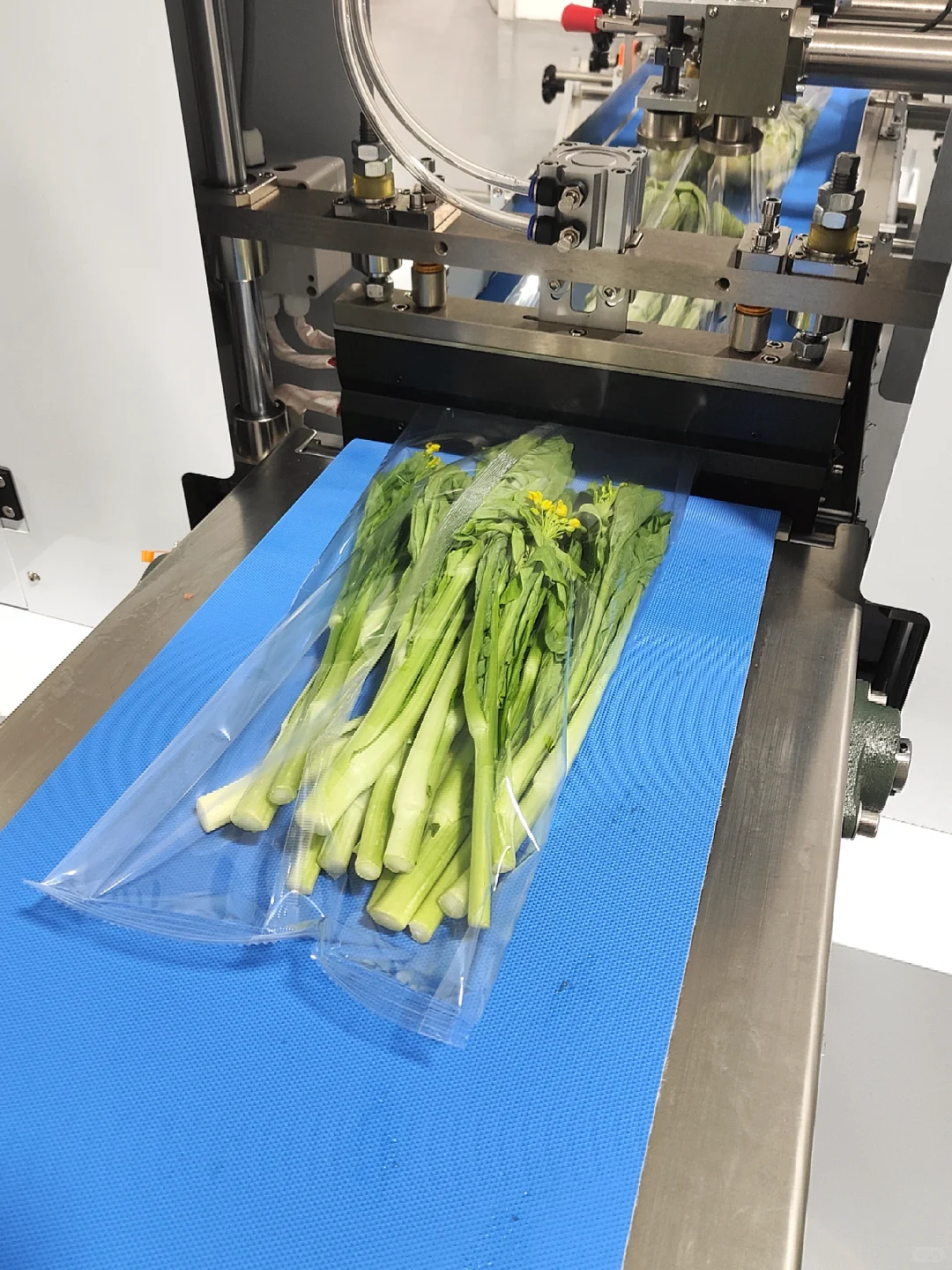 ?救命！这包装机让我爱上打包！?