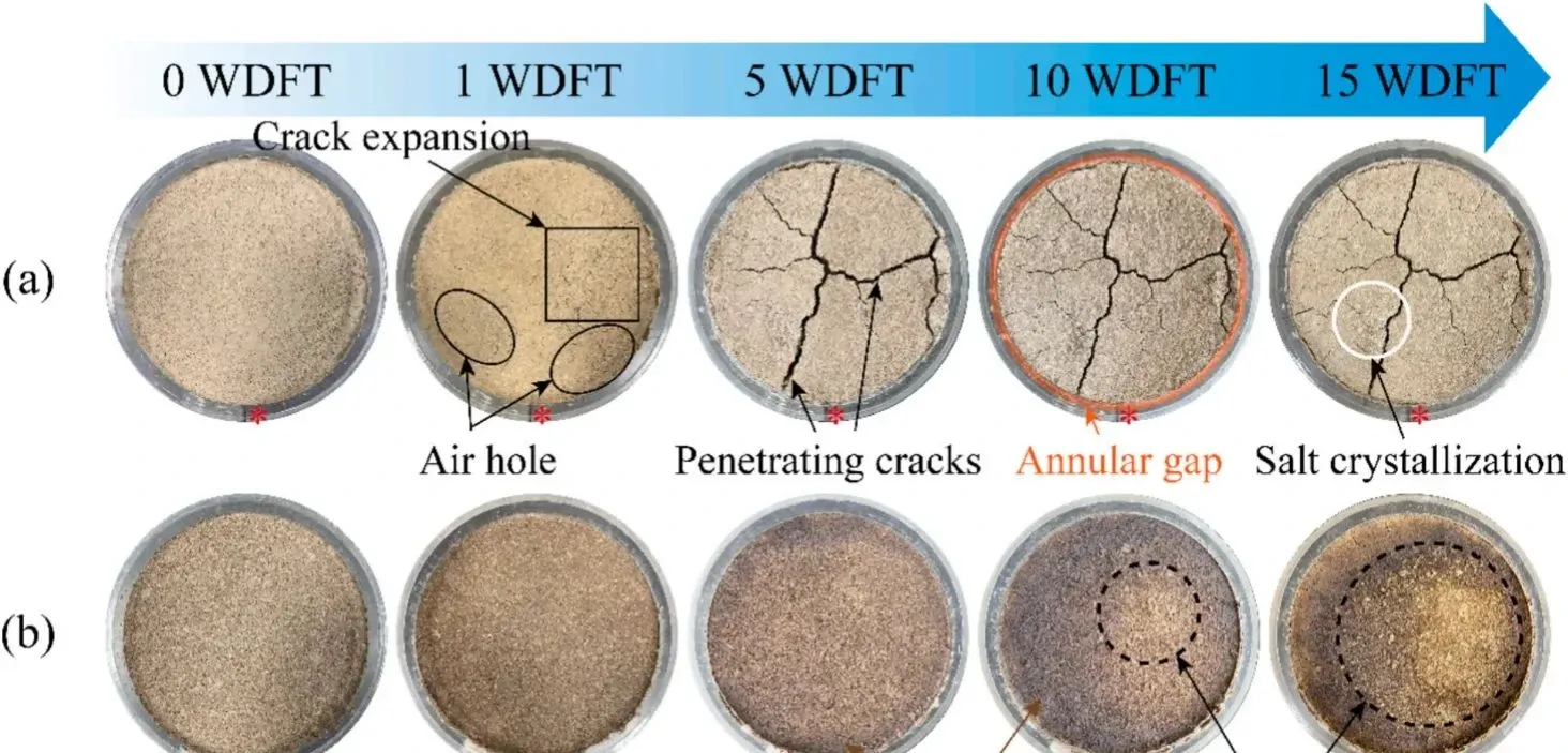 盐渍土开裂难题？复合固化一招破解?