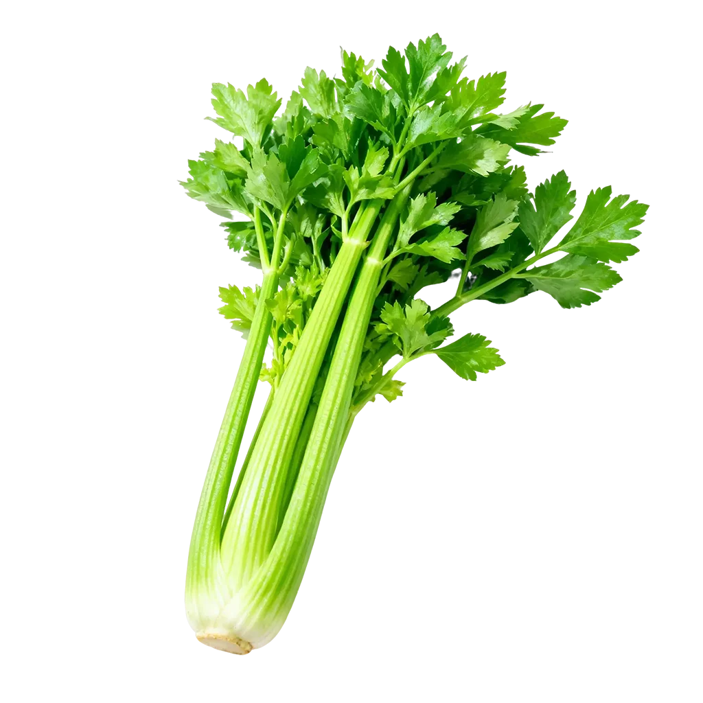 青菜图标，平常你经常吃的是哪一款呢？