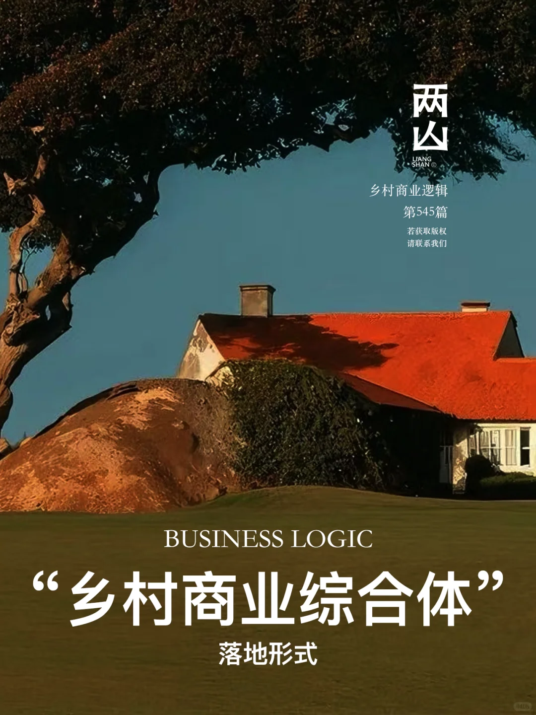 乡村商业综合体落地形式。