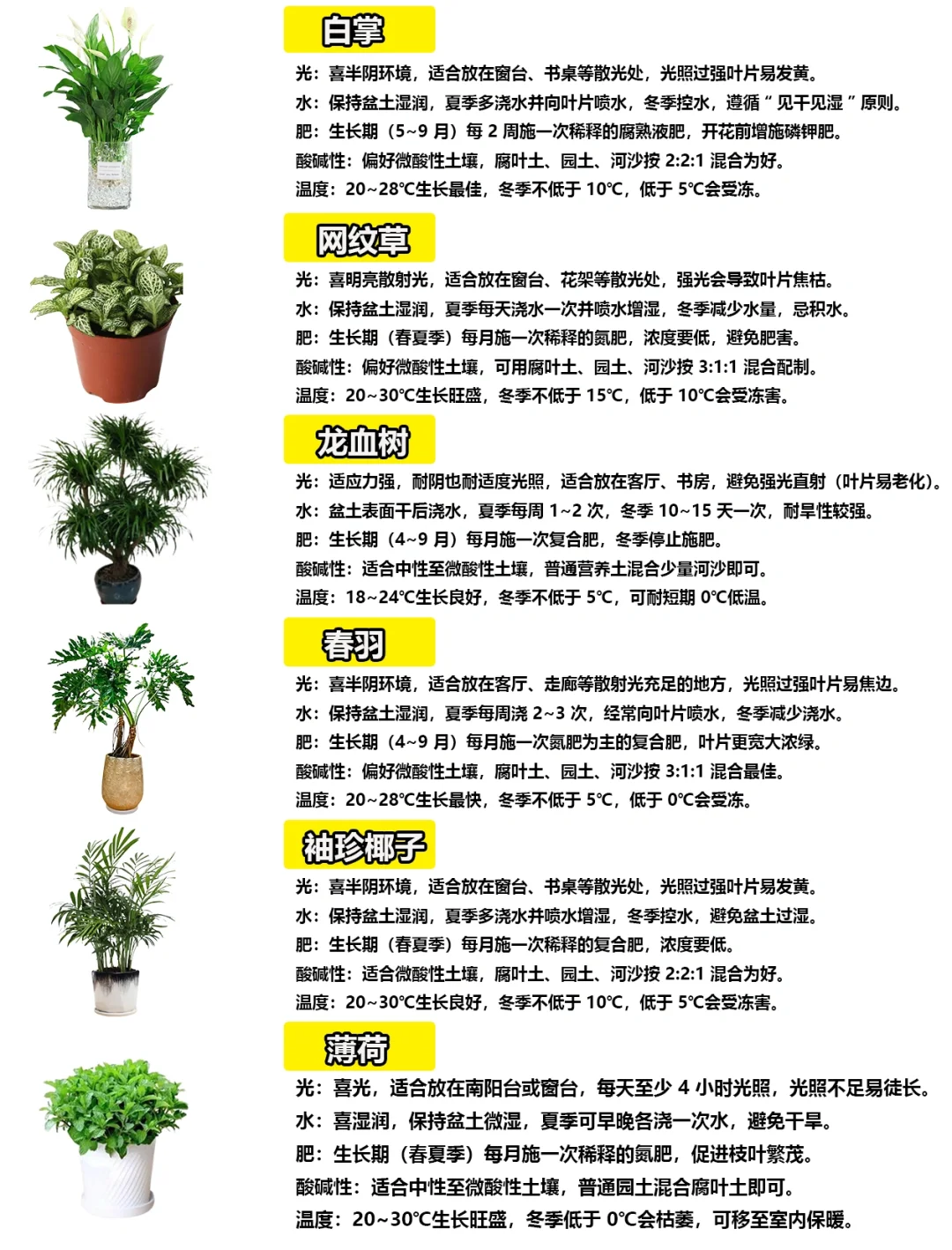 108种绿植花卉养护手册大全