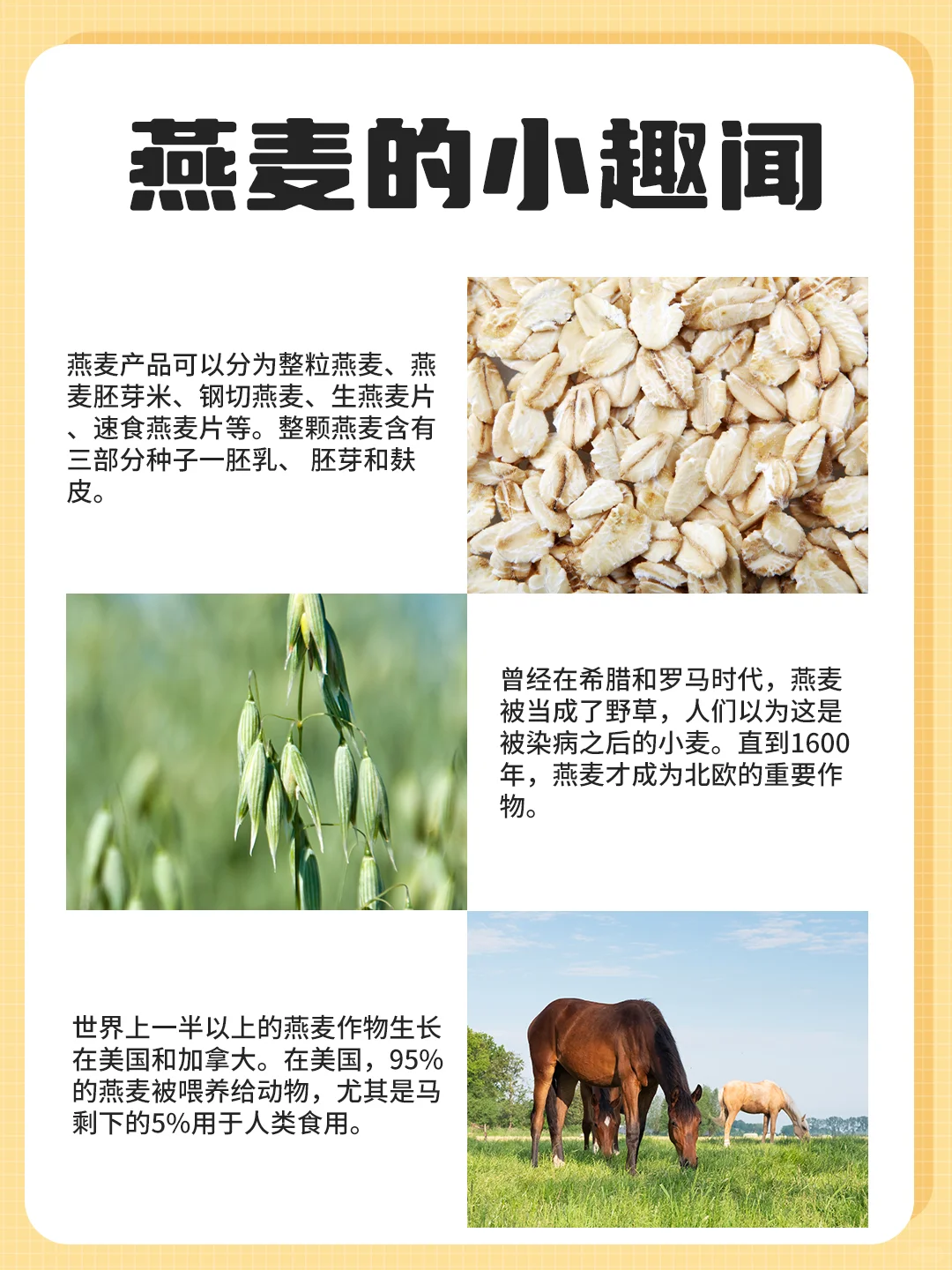 五谷杂粮燕麦称王！超级食物燕麦你知多少呢