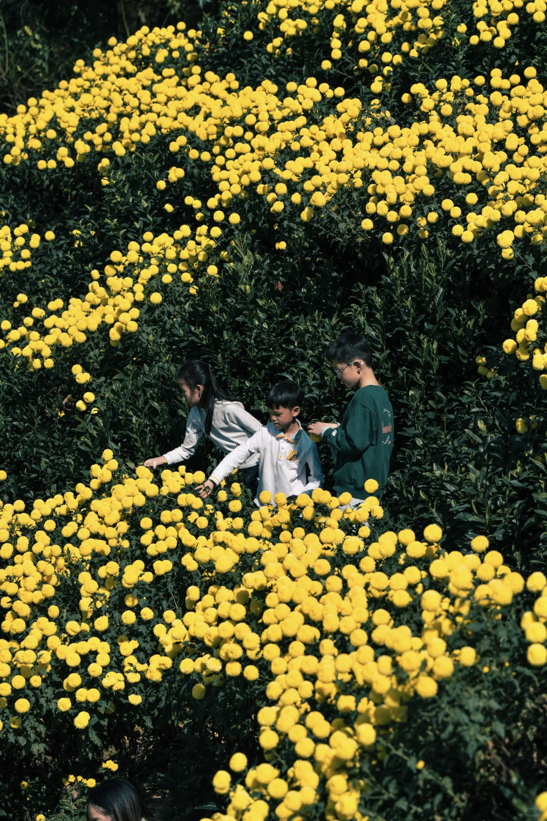 为什么非要去皖南，皖南到底有谁在啊？！