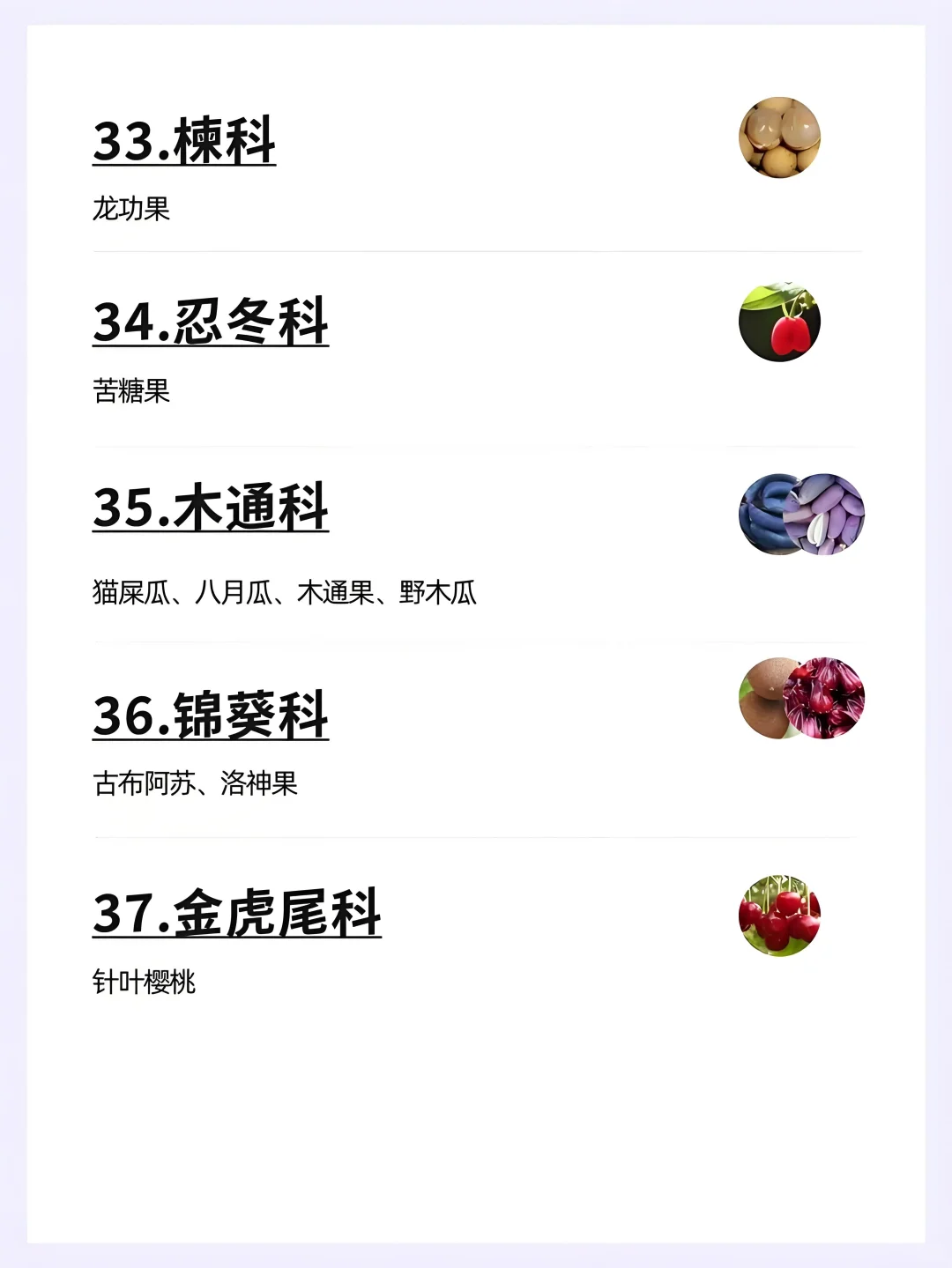 水果分类大全
