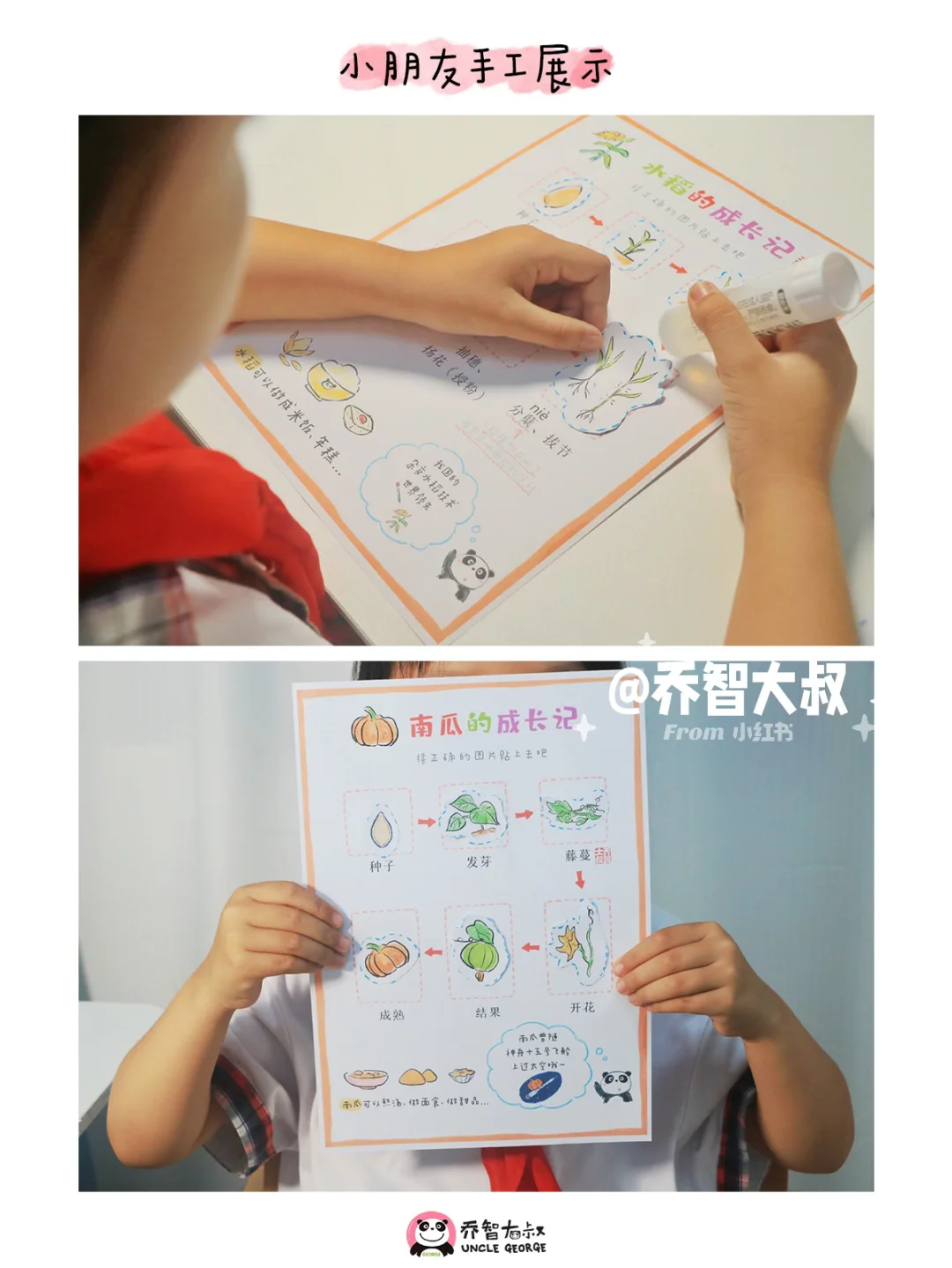 一组秋天丰收粮食的生长过程图，孩子超喜欢
