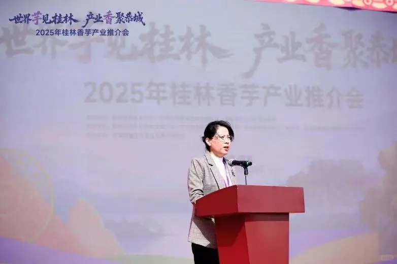 2025年桂林香芋产业推介会在恭城成功举办