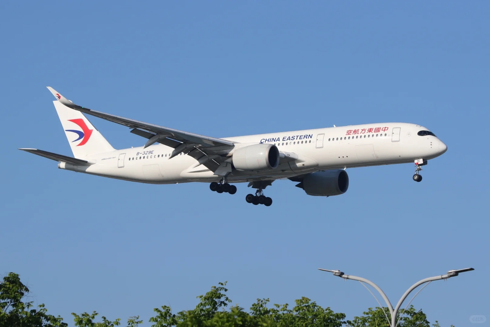 虹桥机场拍宽体