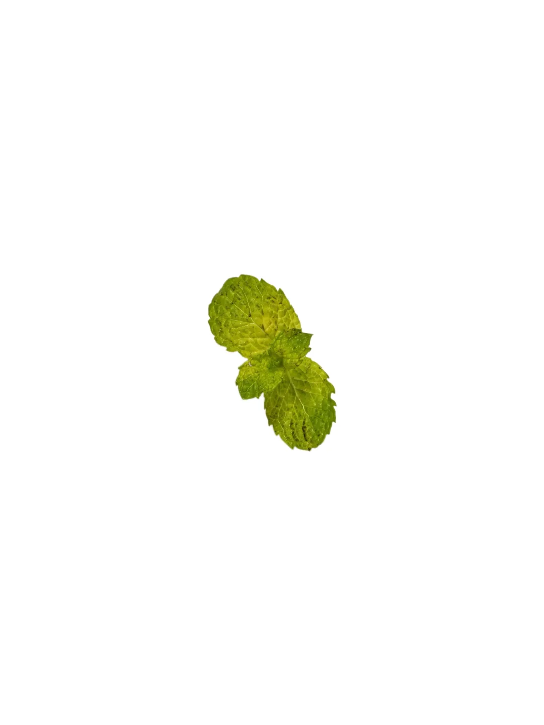 电子伙夫｜?组装一碗你爱吃的麦片?