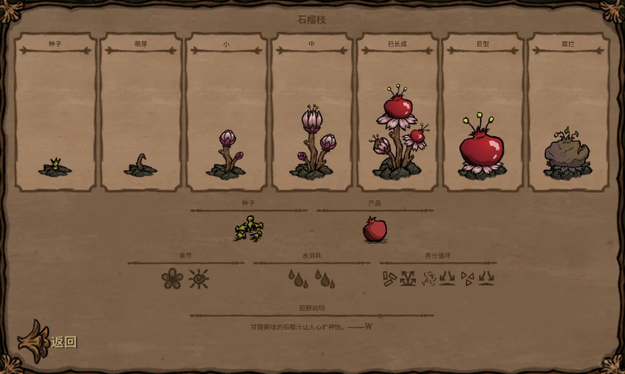 饥荒内14种类型的种子对应图鉴