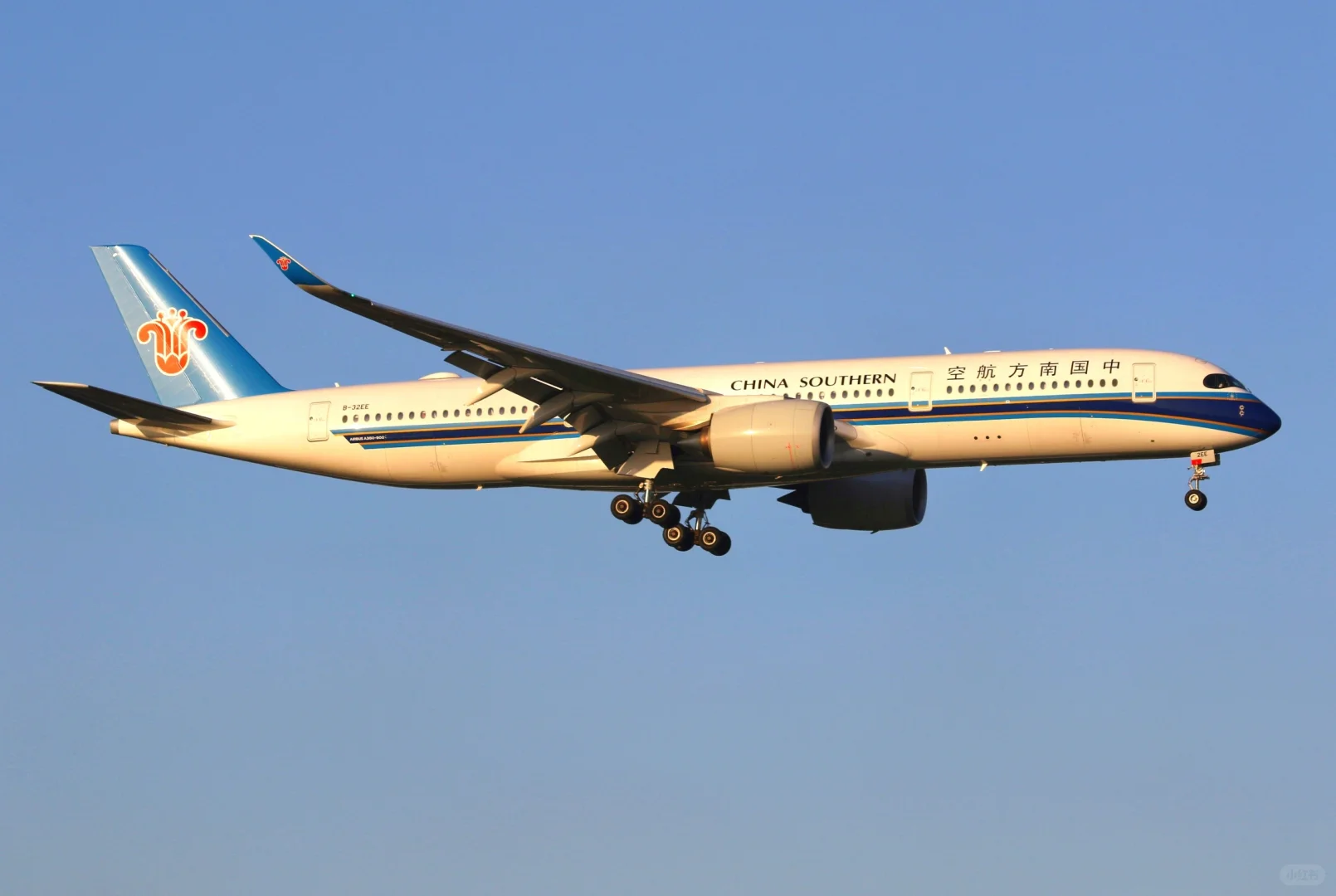 虹桥机场拍宽体