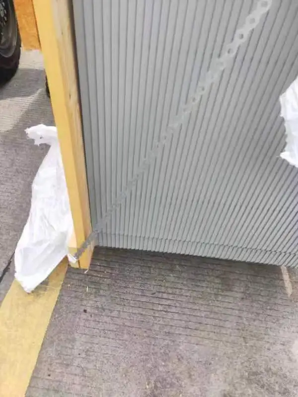 荷兰进口温室种植 潮汐穴盘 装车