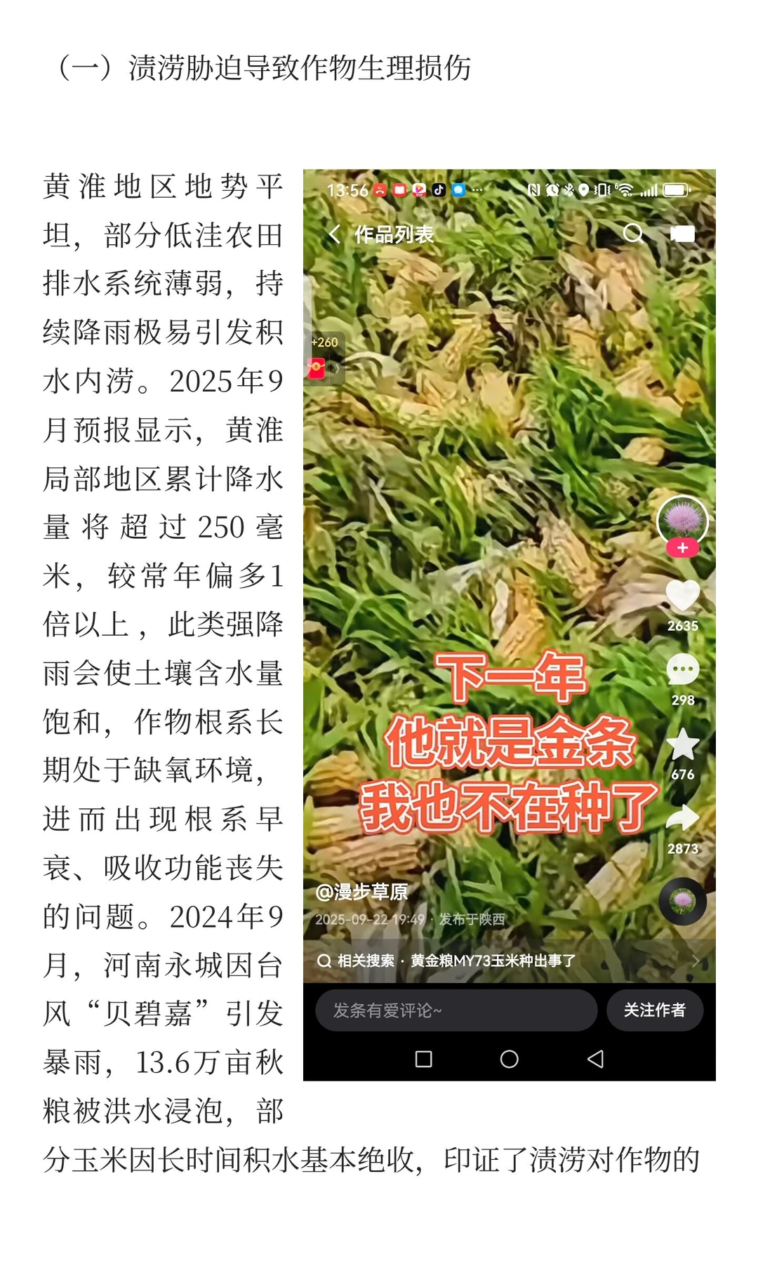 黄淮降雨对农作物的影响：机遇与风险并存的