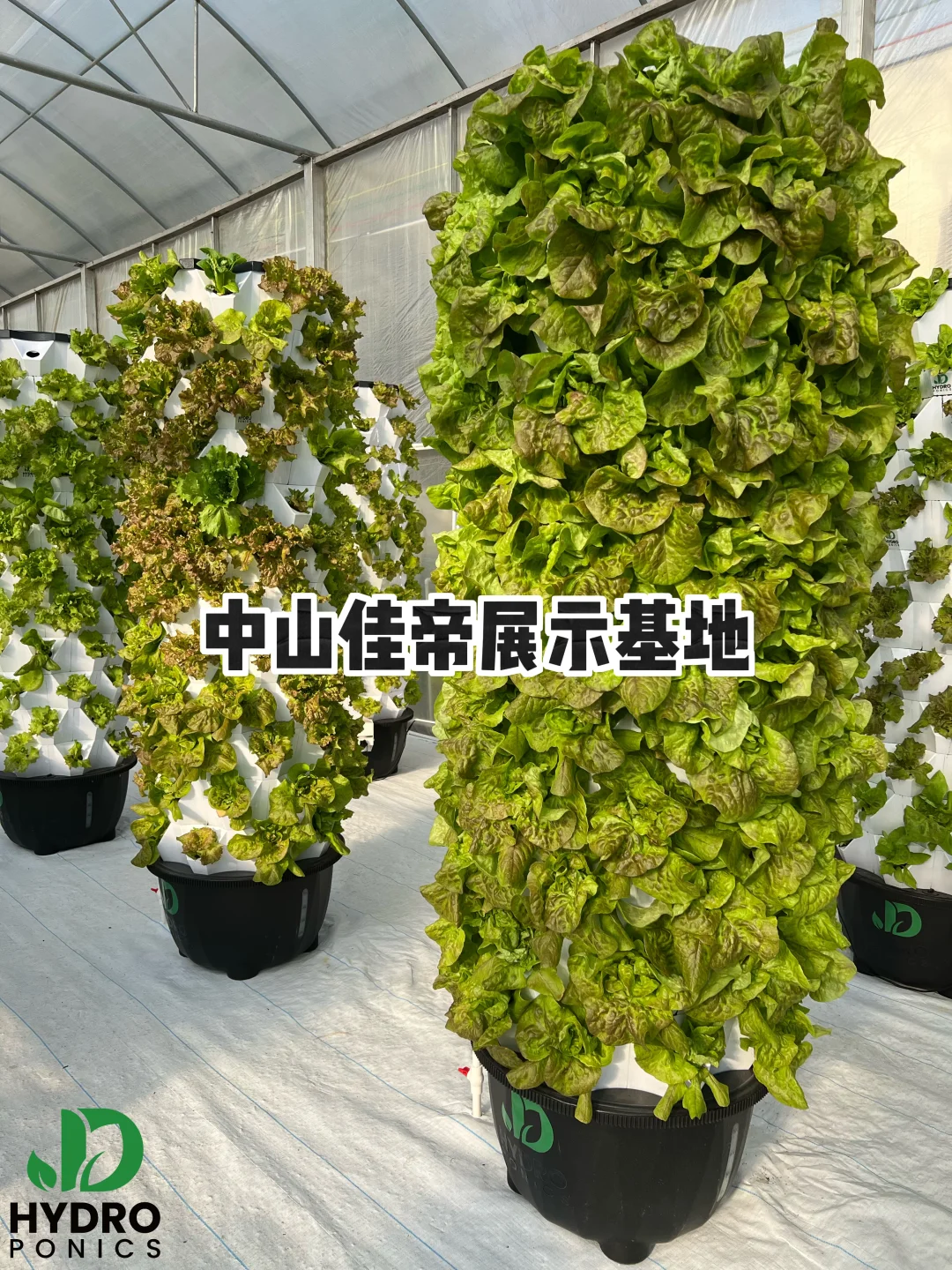 深耕农业十载，佳帝科技为你解锁种植新可能