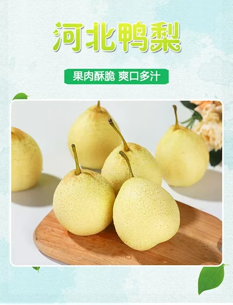 ?大学生助农｜是燕赵大地的甜！