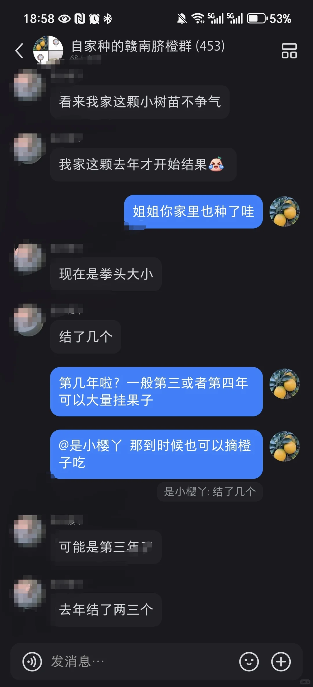 种一颗自己的橙子树?，实现橙子自由啦