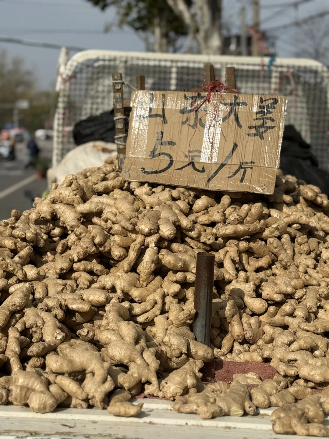 一叶之灵 窥尽全秋