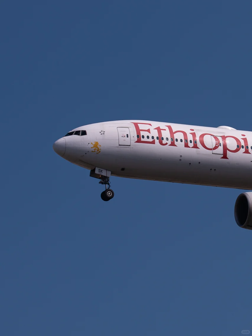 全新解锁埃塞航77W❗