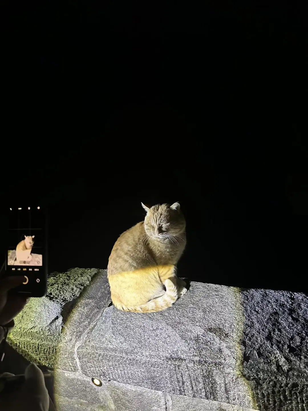 泰山夜爬的烟人怎么那么多！！