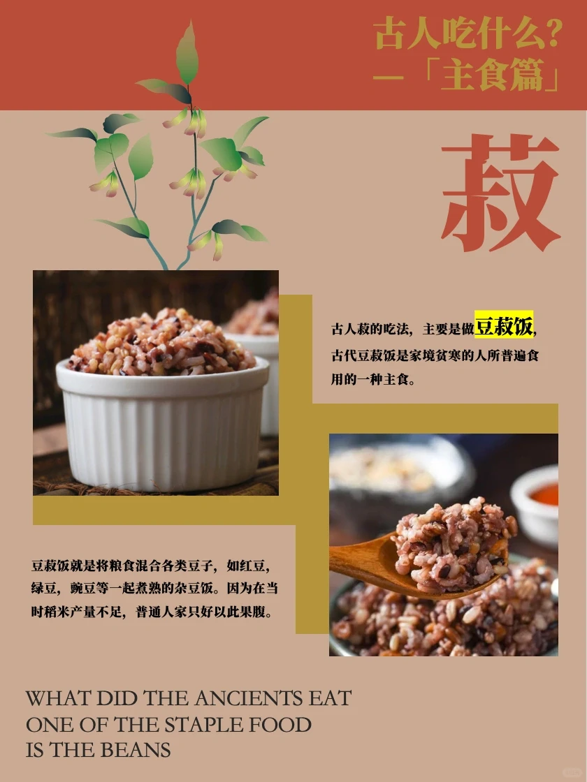 古人吃什么主食？粟、黍、麦、稻、菽！