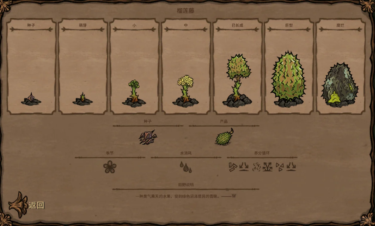 饥荒内14种类型的种子对应图鉴
