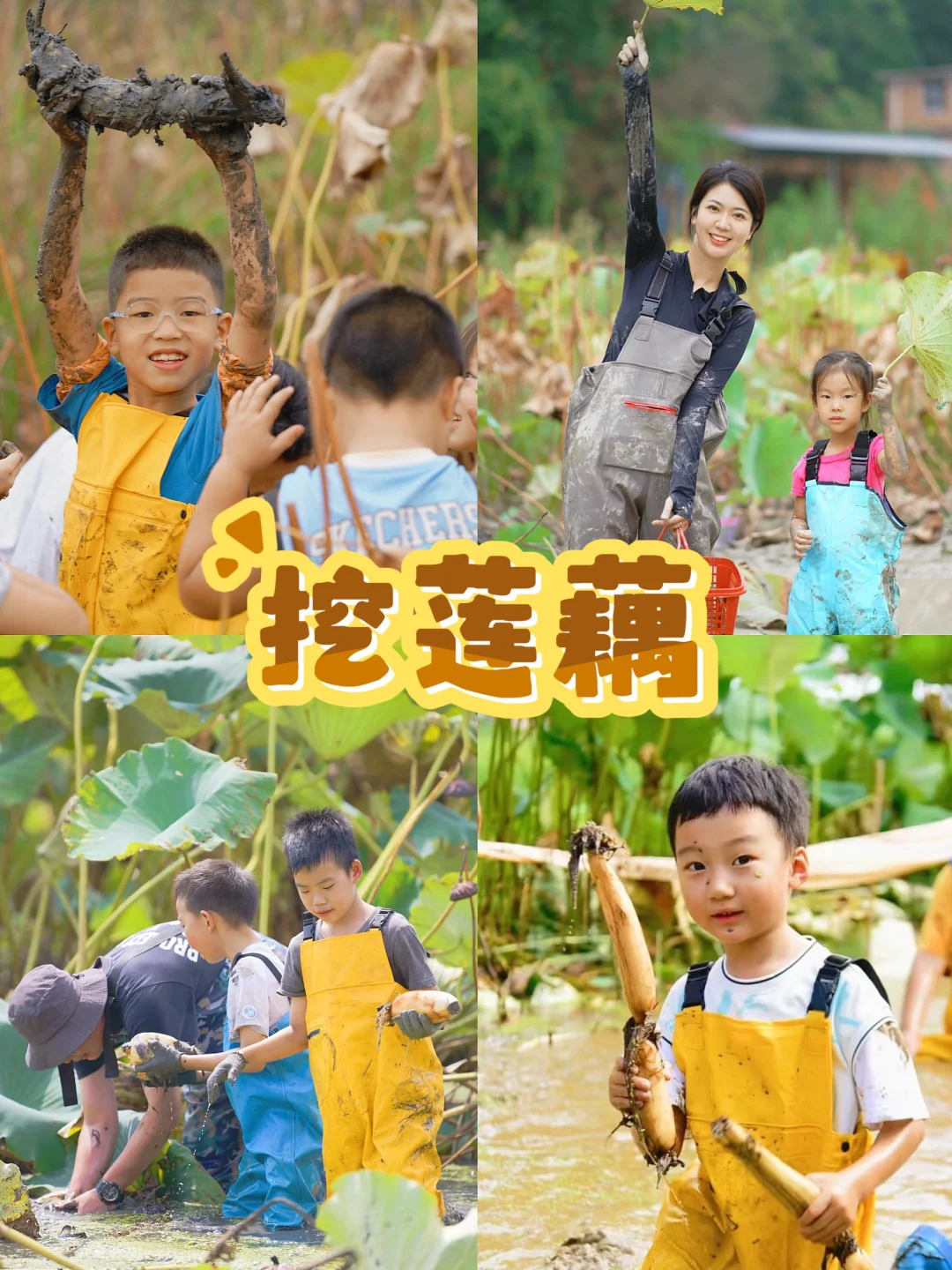杭州秋季亲子活动‼️带娃打卡12项农事体验?