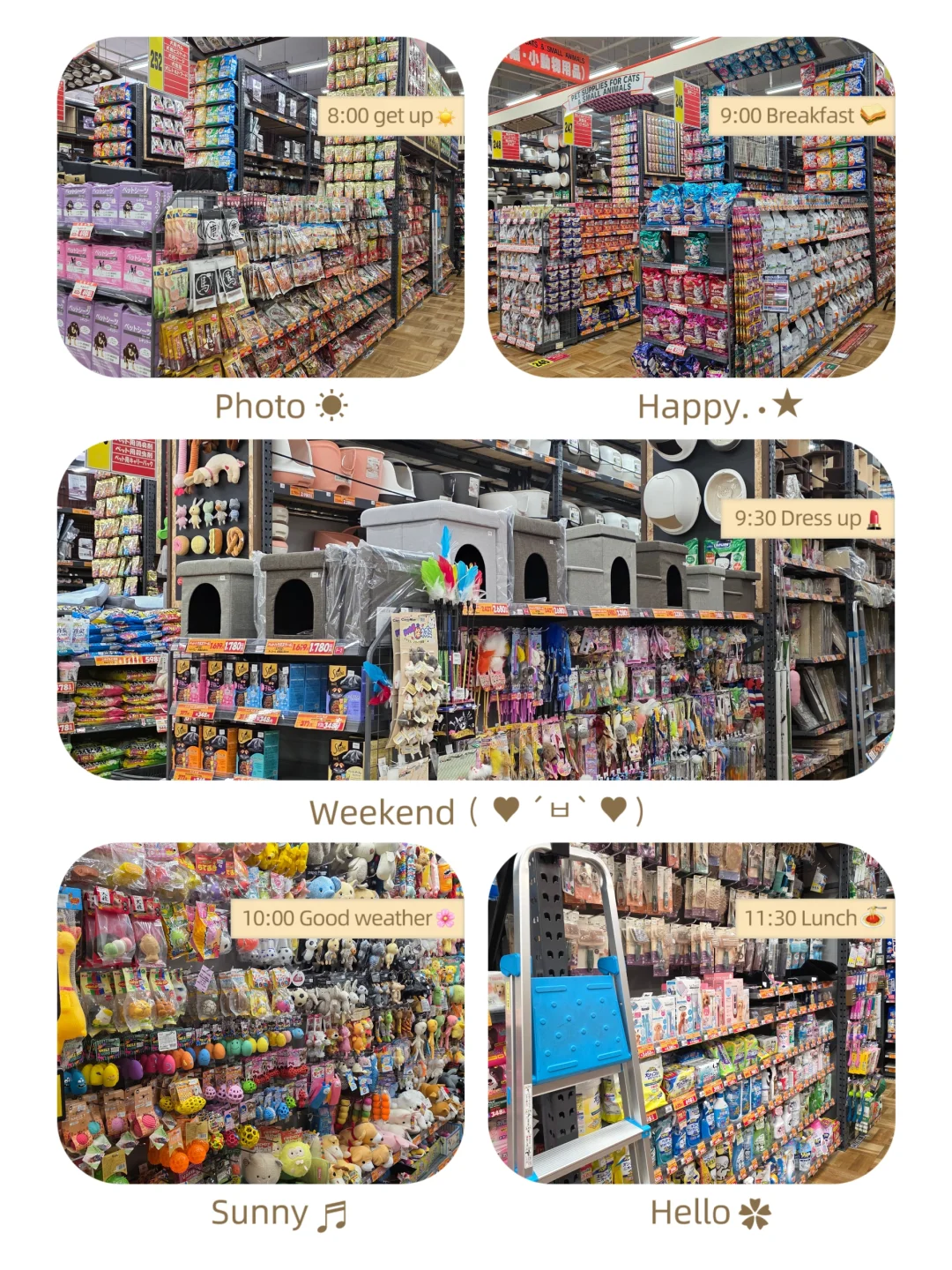 建材市场“寻宝”记