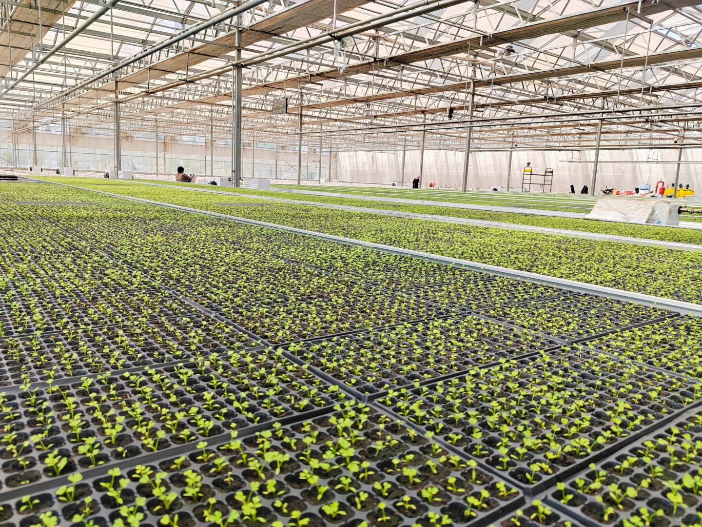 智能温室工厂化育苗