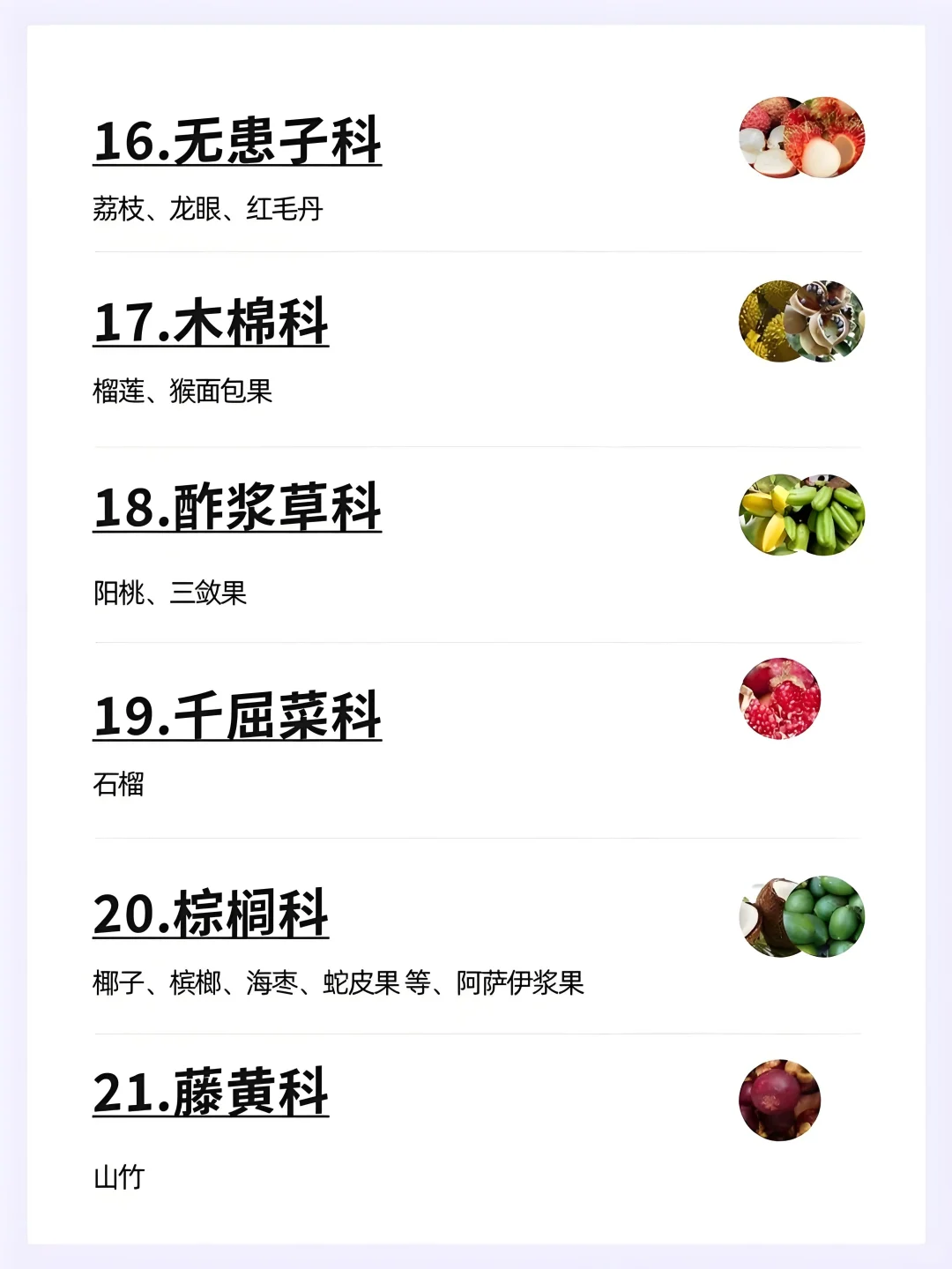 水果分类大全
