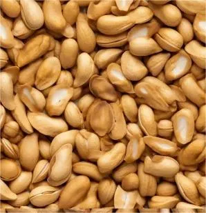 花生：引领经济奇迹的小小农作物