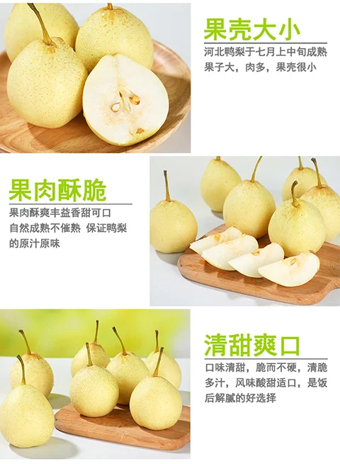 ?大学生助农｜是燕赵大地的甜！