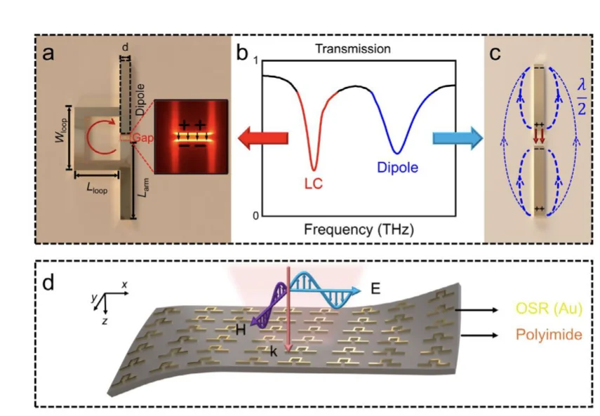 2025 上海理工LPR