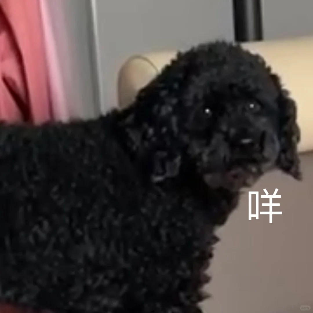 天天闻农药会有什么危害