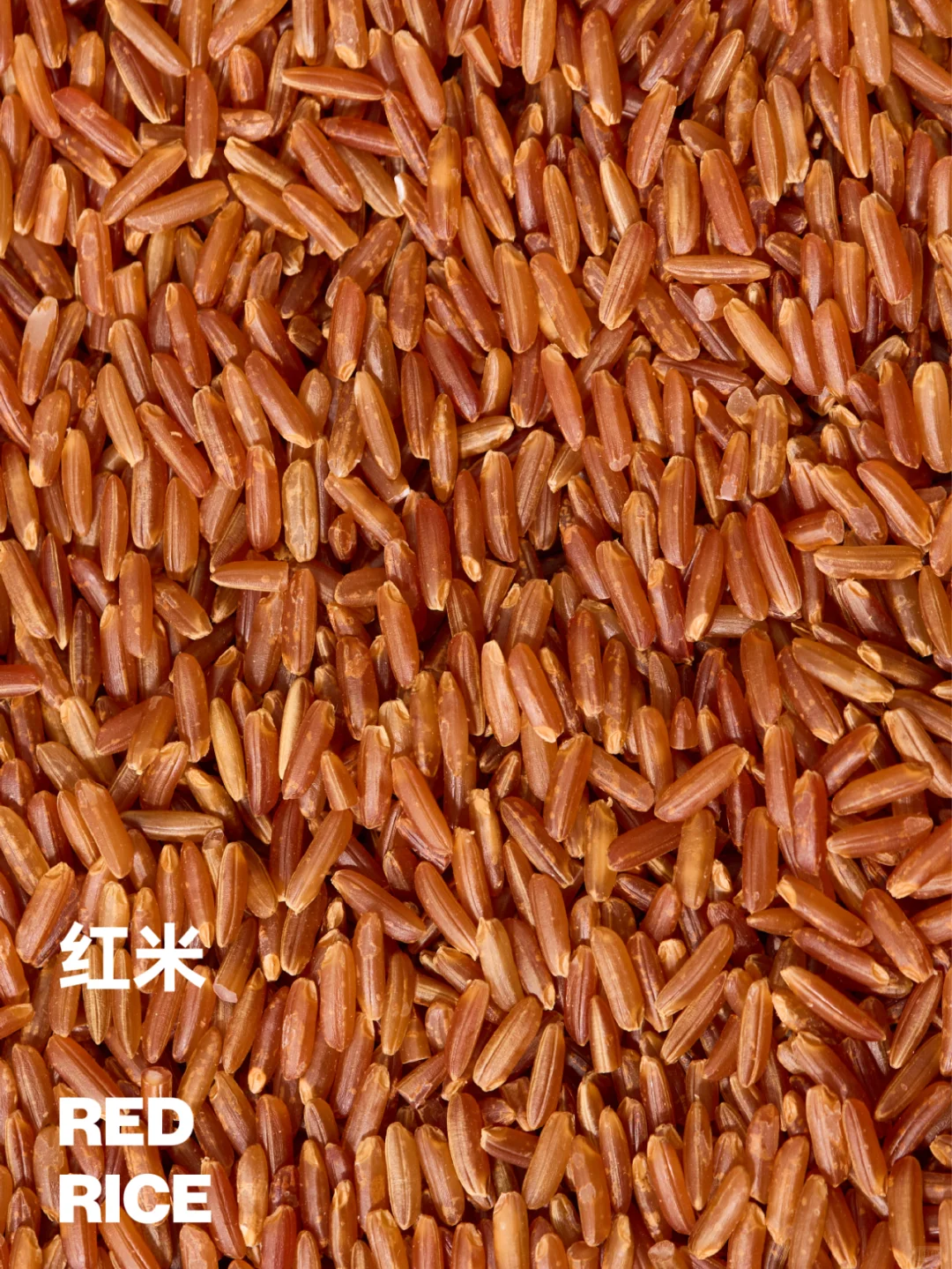 自然里与众不同的七色诗意