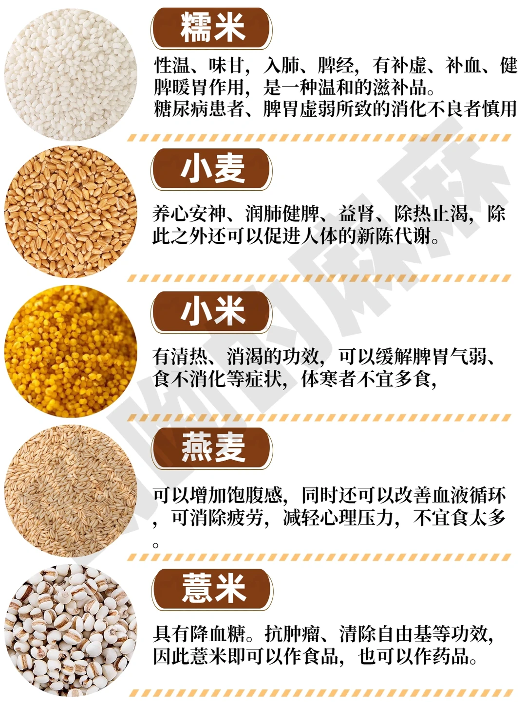 谷物科普丨30种常见五谷杂粮附营养价值?