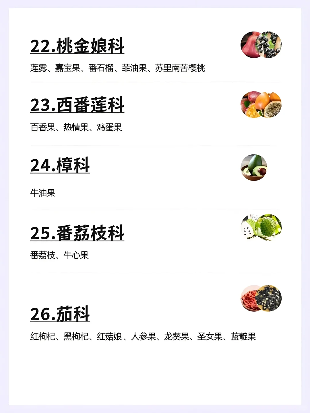 水果分类大全