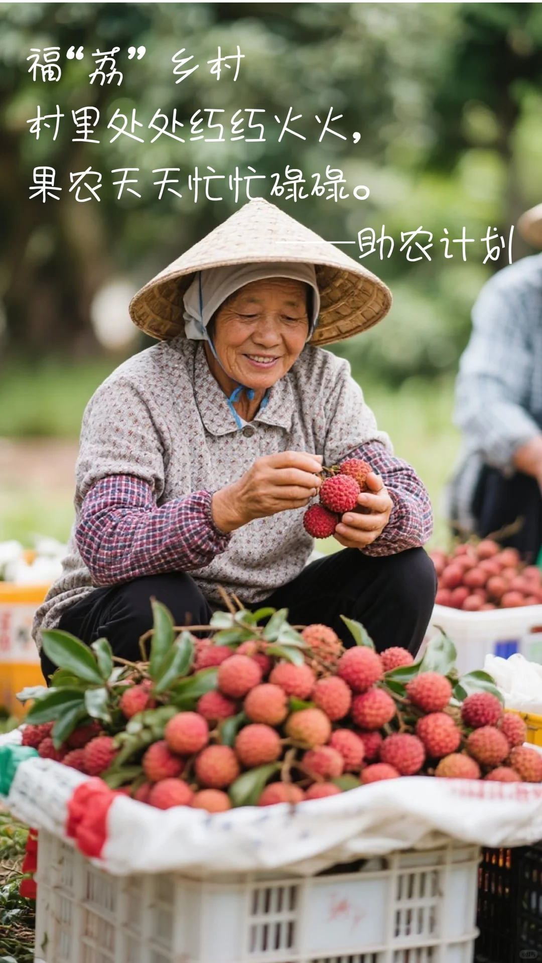 女大助农库存照｜荔枝季虽过，照片永鲜活。