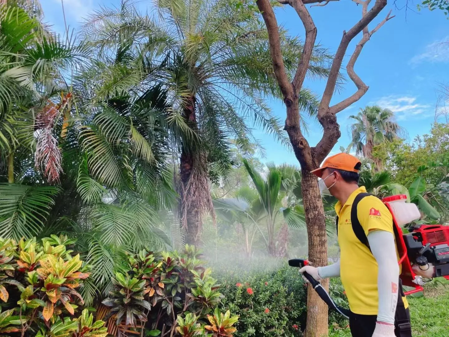 广州消杀公司推荐花都区消杀除四害