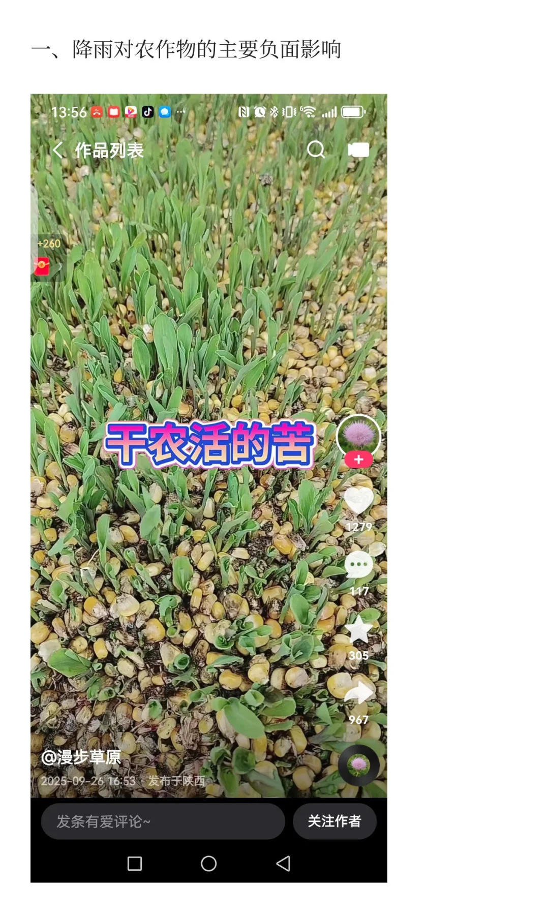 黄淮降雨对农作物的影响：机遇与风险并存的
