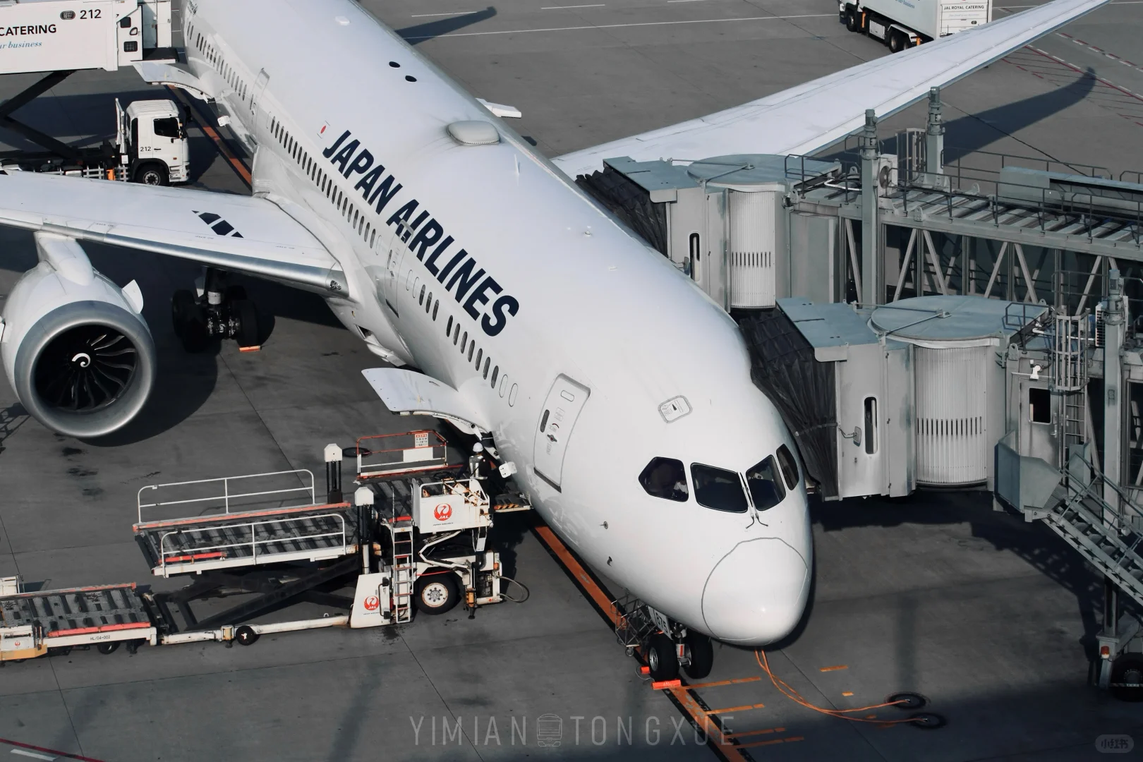 新世代主力A350 & B787