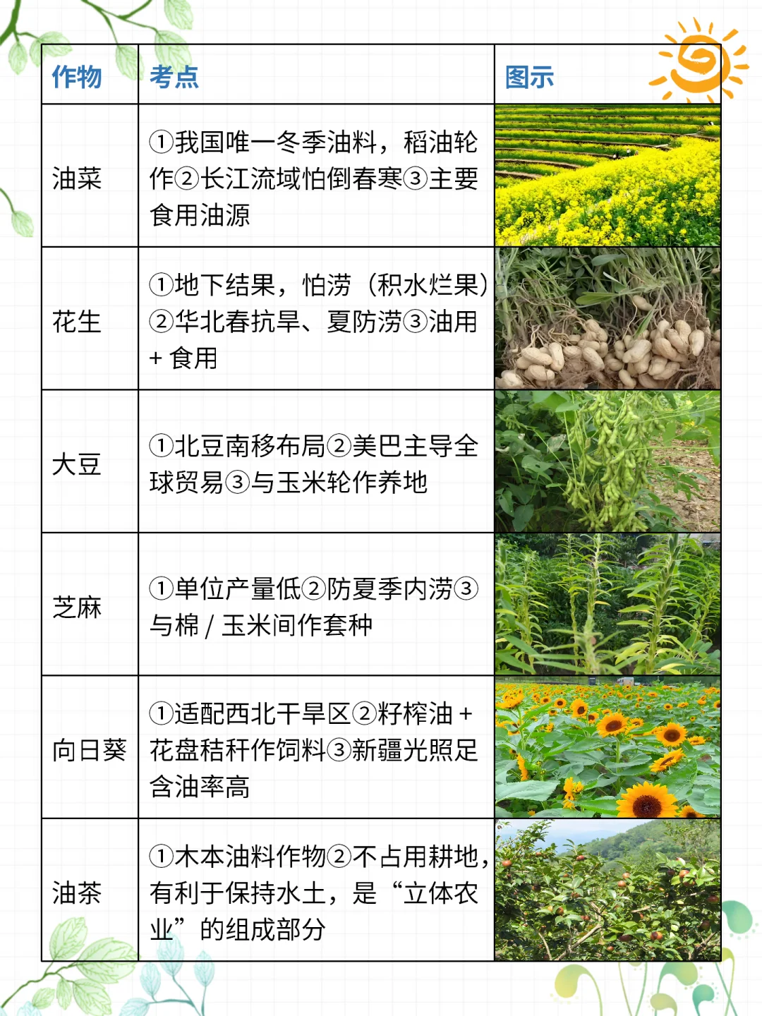 高考地理 | 常考油料作物大盘点