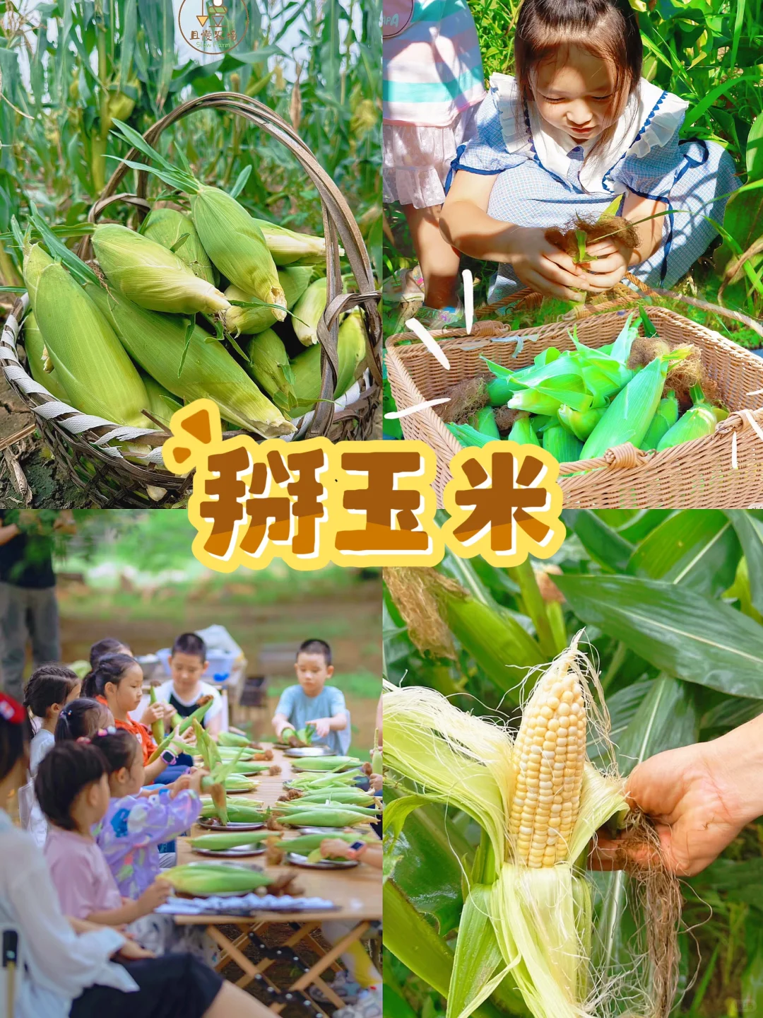 杭州秋季亲子活动‼️带娃打卡12项农事体验?