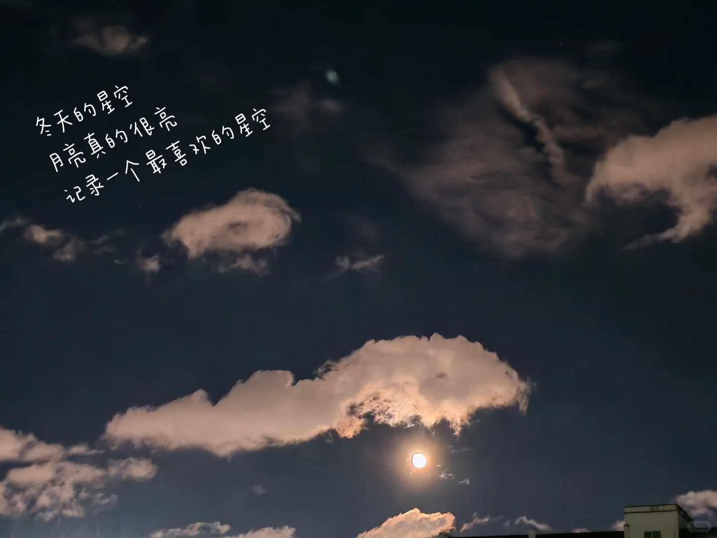 ?Plog|冬日治愈瞬间