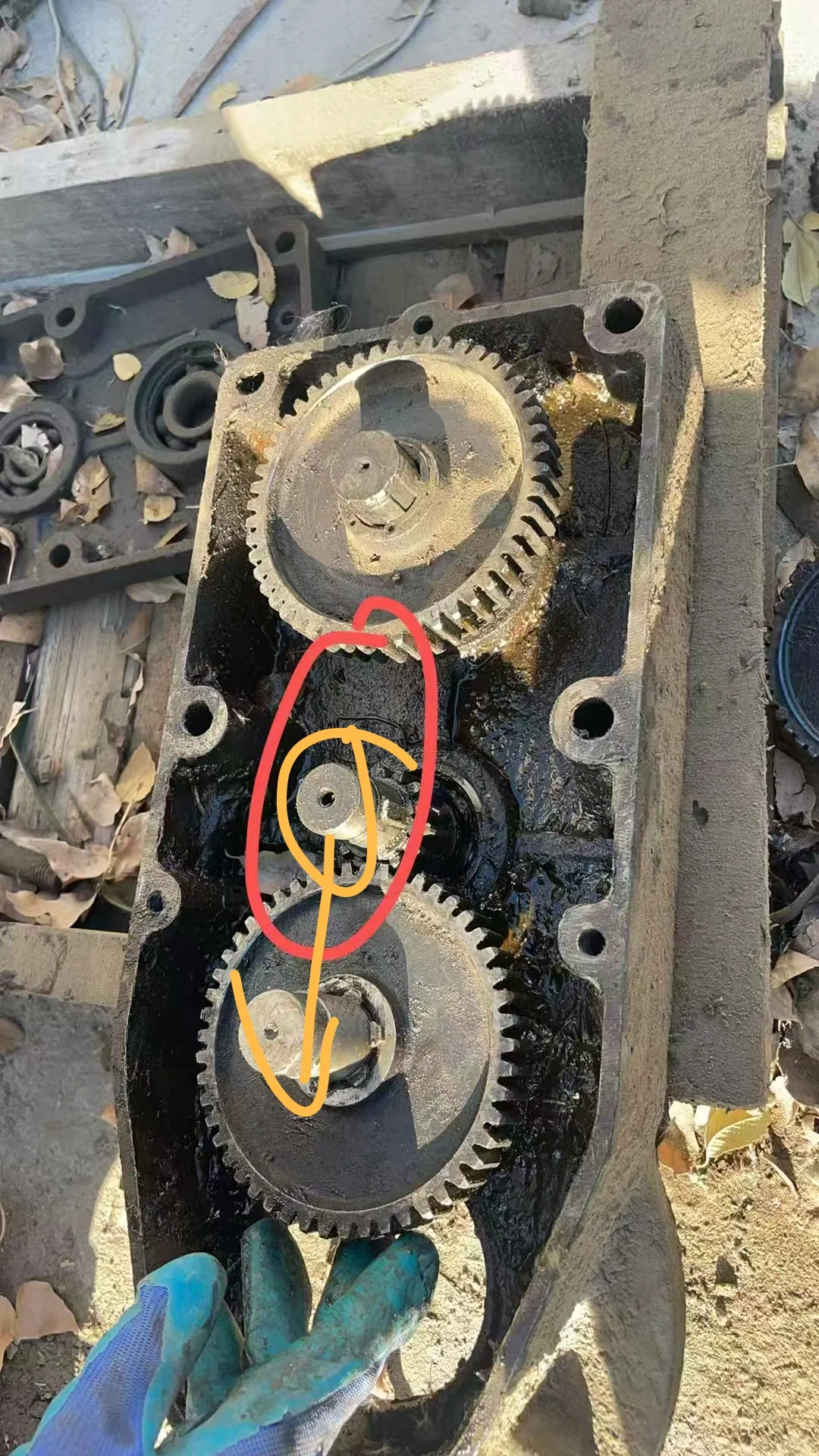 LDB驱动装置300LDAC型立式减速机驱动装置齿