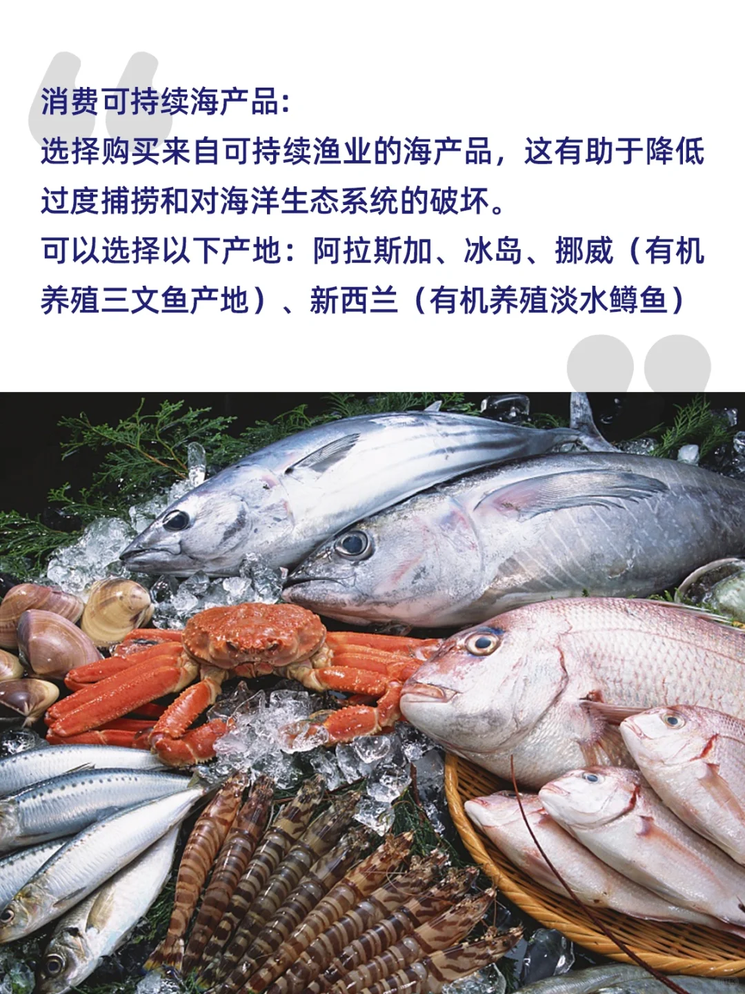 核污排海?，我们普通人如何降低影响？