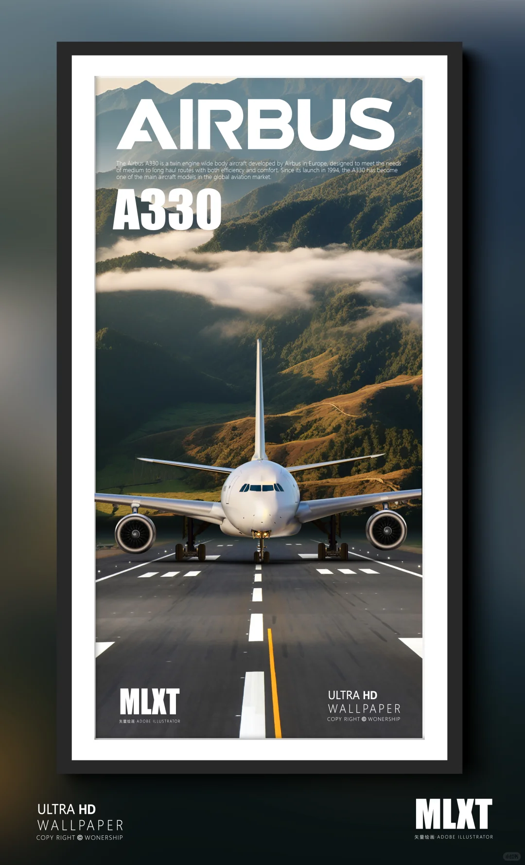 空客A330客机